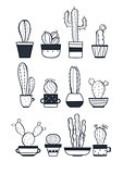 Cute cactus set