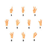 Numbers in hand sign language isolated on white