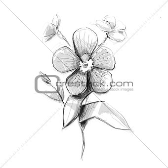 Flower artistic sketch.