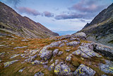 Mountains Landscape