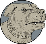 Rottweiler Guard Dog Head Angry Drawing
