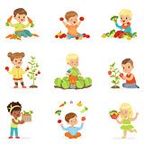 Little children having fun and playing with vegetables, set for label design. Cartoon detailed colorful Illustrations