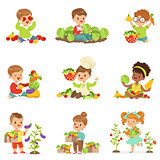 Cute little children playing, gathering and preparing vegetables, set for label design. Cartoon detailed colorful Illustrations