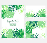 Palm leaves backgrounds