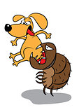 pet dog flea infestation attack 
