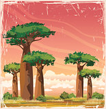 African landscape - baobabs and sunset sky.