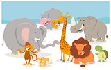 safari cartoon animal characters