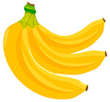 banana fruits food object illustration