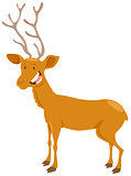 deer cartoon animal character