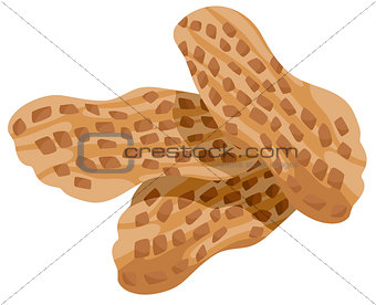 peanuts food object illustration