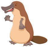 platypus animal character