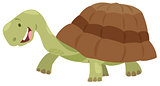 cute turtle animal character