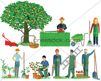 Gardening. Garden tools, garden maintenance