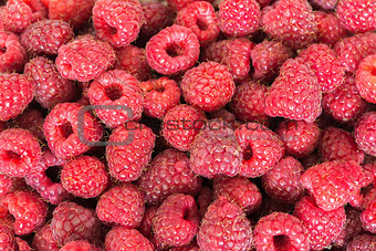 Raspberries background closeup
