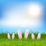 Easter bunny ears hidden in grass