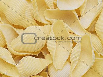 raw uncooked conchiglie jumbo shell pasta food background