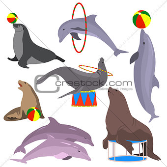 Marine circus animals set. Vector illustration. Flat.
