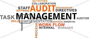 word cloud - audit management