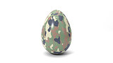 3d illustration of simple easter egg. painted with camouflage paint.