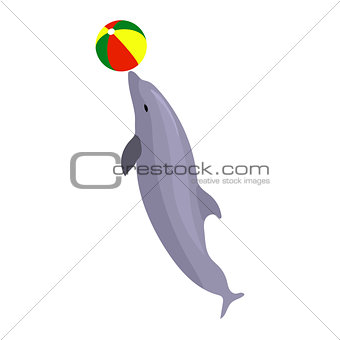 Vector illustration jumping dolphin playing with ball isolated on white background. Dolphin icon. Beach summer ball. Sea creature