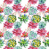 Wildflower succulentus flower pattern in a watercolor style isolated.