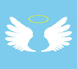 Vector wings icon