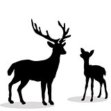 Black silhouette  Deer and Fawn white background