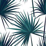 Tropical background with jungle plants. Seamless vector tropical pattern with green phoenix palm leaves. Vector illustration.