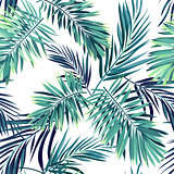 Tropical background with jungle plants. Seamless vector tropical pattern with green phoenix palm leaves.