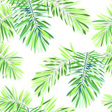 Bright tropical background with jungle plants. Seamless vector exotic pattern with green phoenix palm leaves.
