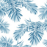 Indigo vector seamless pattern with monstera palm leaves on dark background. Summer tropical camouflage fabric design.
