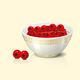 white bowl with red currant shadow and reflection on a light bac