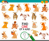 find one of a kind dog character