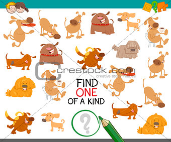 find one of a kind with dogs