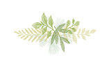 Greenery botanical hand drawn leaf decoration