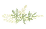 Green botanical hand drawn leaf composition