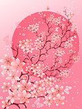 Beautiful spring. Cherry blossom background