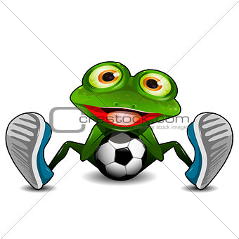 Frog Sitting with a Soccer Ball