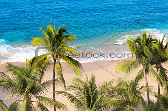 Palm trees, ocean waves and beach, Acapulco, Mexico