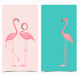 Tropical bird flamingos