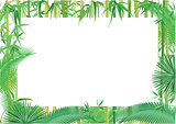 Exotic jungle banner illustration