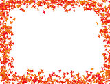 autumn leaves in red shades frame