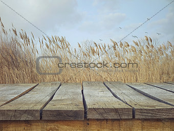 Wooden table with landscape