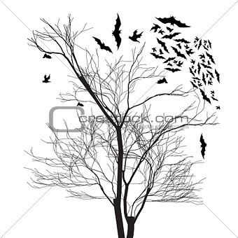 Vector graphics of trees and bats