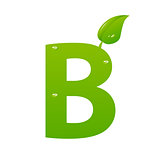 Green eco letter B vector illiustration