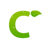 Green eco letter C vector illiustration