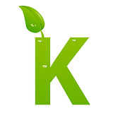 Green eco letter K vector illiustration