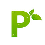 Green eco letter P vector illiustration