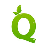 Green eco letter Q vector illiustration