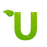 Green eco letter U vector illiustration